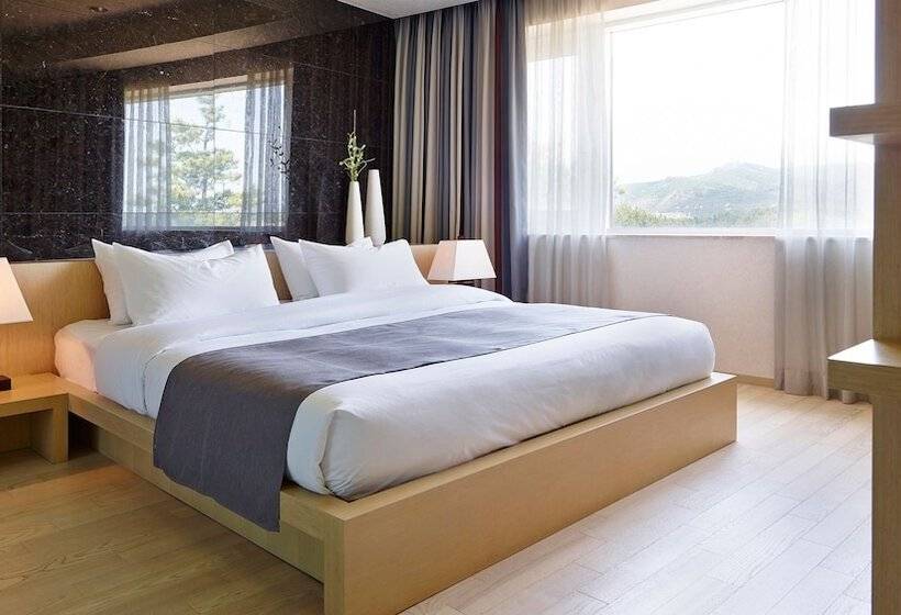 סוויטה דלוקס, Kinock Pet