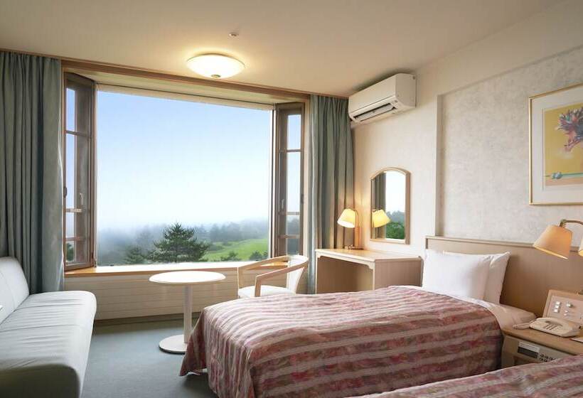 غرفة قياسية, Tsumagoi Prince