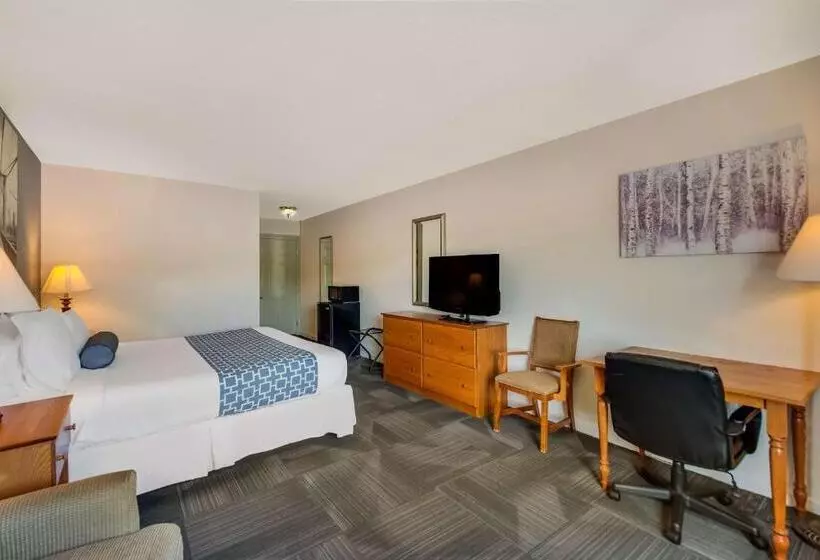 キングサイズベッドのスタンダードルーム, Surestay Plus Hotel By Best Western Berkeley Springs