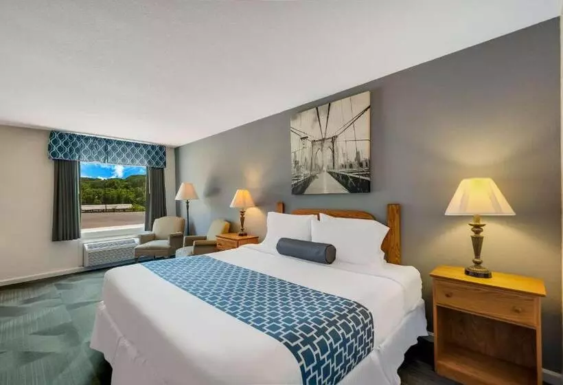 キングサイズベッドのスタンダードルーム, Surestay Plus Hotel By Best Western Berkeley Springs