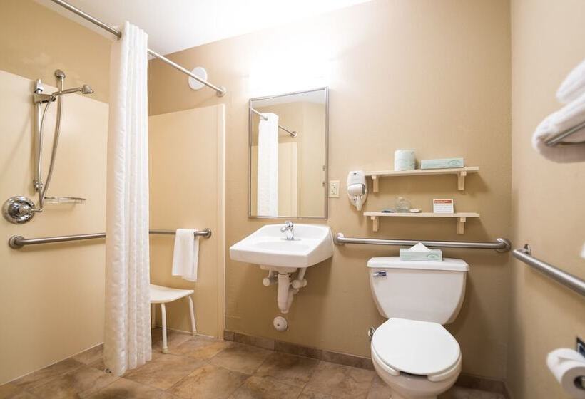 Standart Stüdyo, Candlewood Suites Wake Forest Raleigh Area, An Ihg