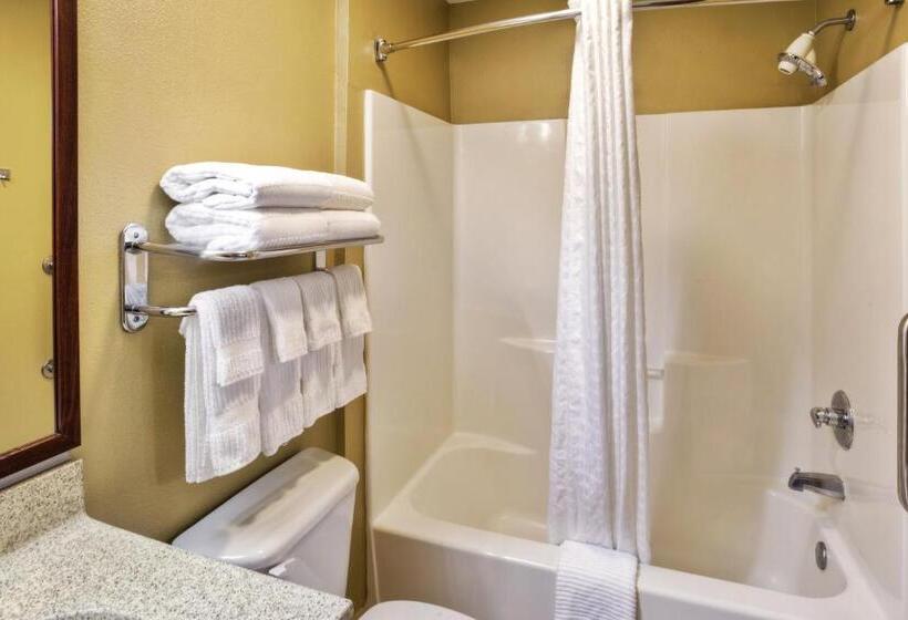 豪华套房, Candlewood Suites Killeen, An Ihg