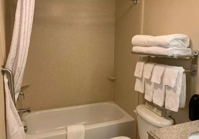 スイート, Candlewood Suites Wilson, An Ihg