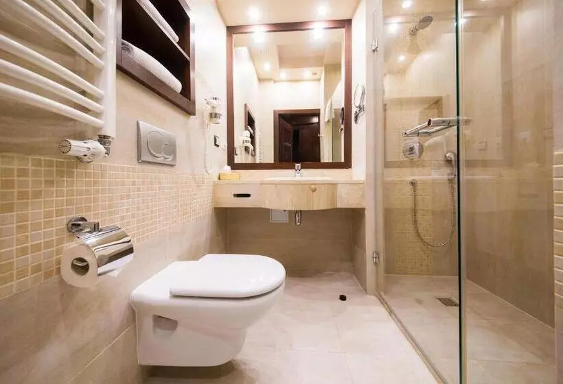 Standard Yhden Hengen Huone, Galicja Wellness & Spa