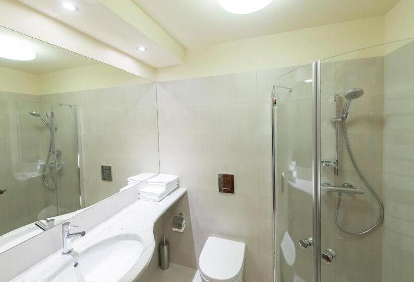 חדר סטנדרט מיטה זוגית, Gorzów