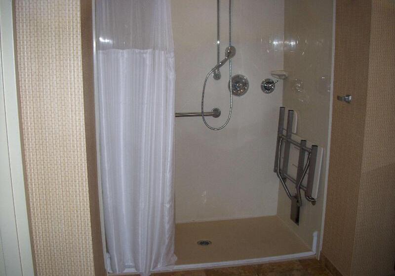 Люкс Кровать Кинг, Homewood Suites By Hilton Decaturforsyth