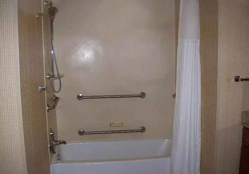キングサイズベッドのスイートルーム, Homewood Suites By Hilton Decaturforsyth