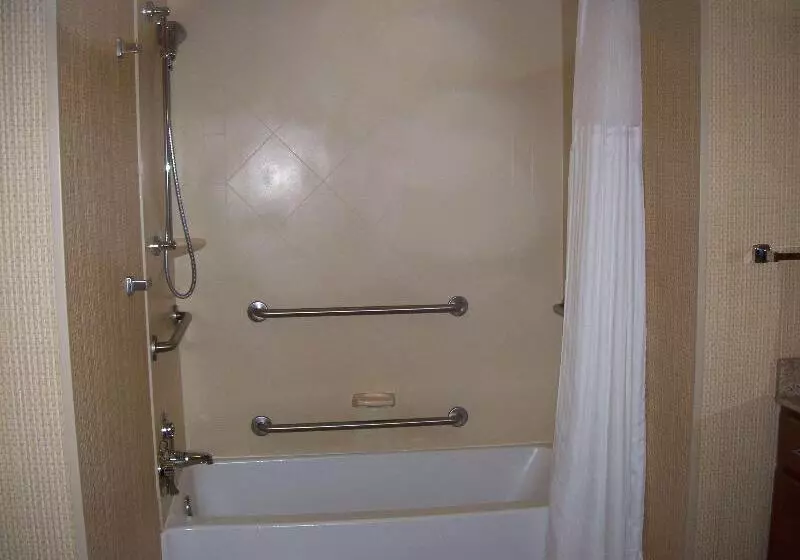 スイート, Homewood Suites By Hilton Decaturforsyth