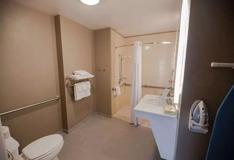 ２ベッドスイートルーム, Sonesta Es Suites Baton Rouge University At Southgate