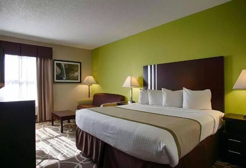 キングサイズベッドのスタンダードルーム, Best Western Lake Cumberland Inn