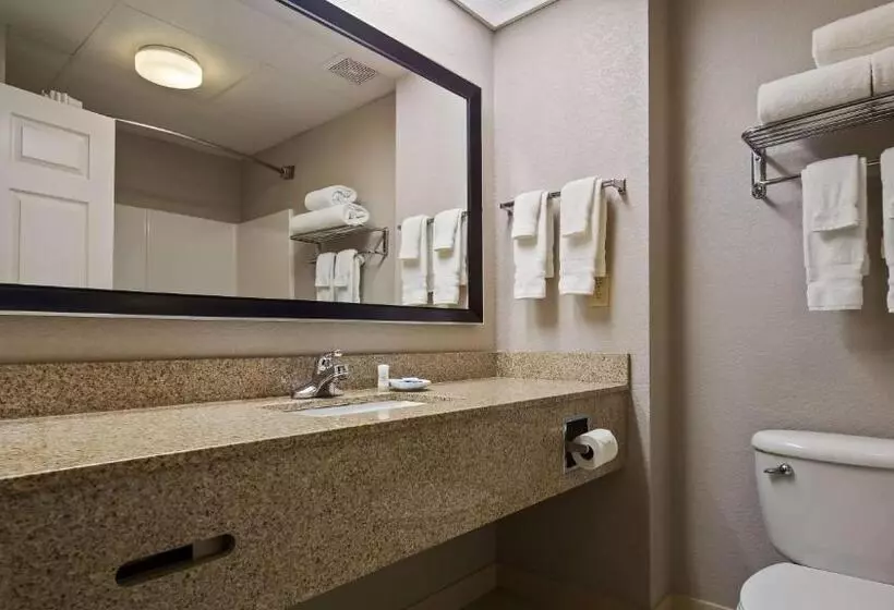 身障者適用キングサイズベッドルーム, Best Western Lake Cumberland Inn