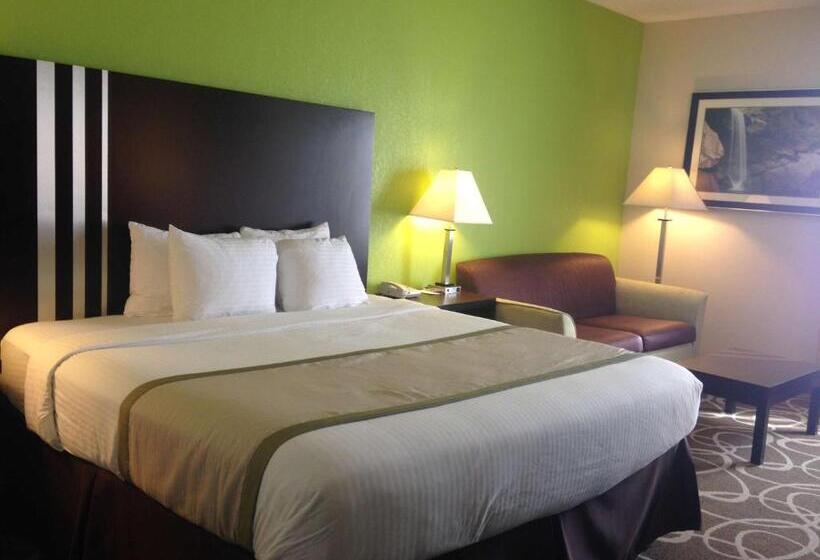 장애인을 위한 킹사이즈 침대 스탠다드 룸, Best Western Lake Cumberland Inn