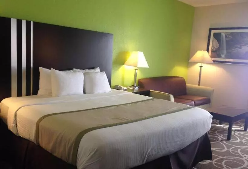 身障者適用キングサイズベッドルーム, Best Western Lake Cumberland Inn
