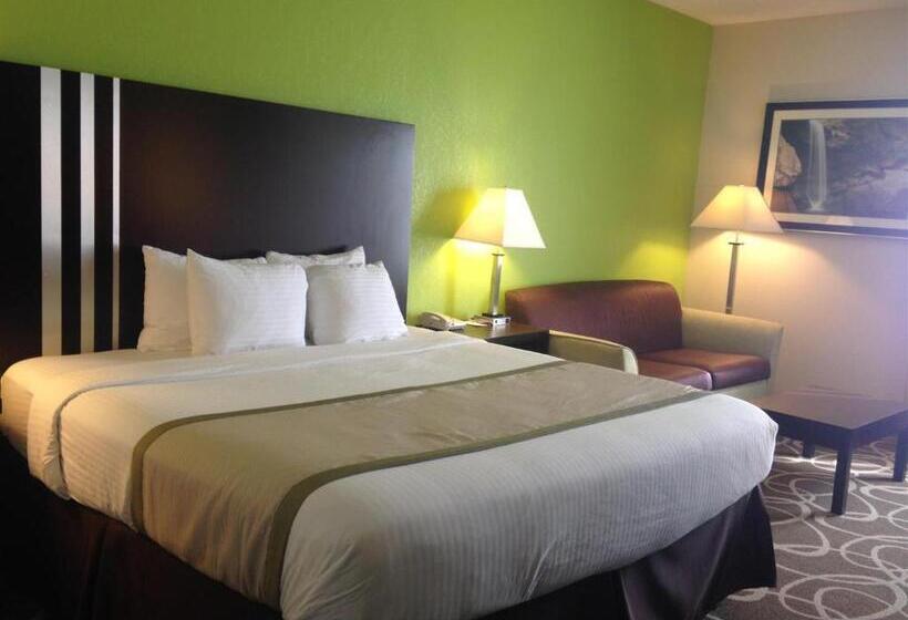 장애인을 위한 킹사이즈 침대 스탠다드 룸, Best Western Lake Cumberland Inn