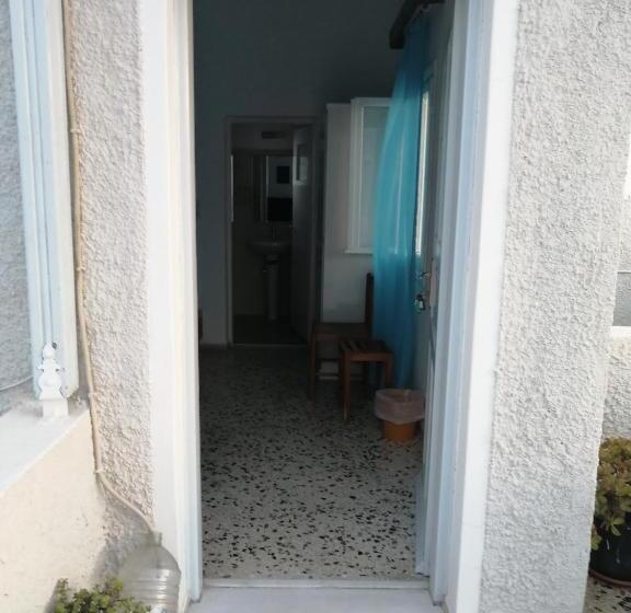 Номер Стандарт, Dilino