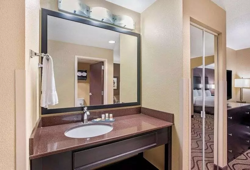 スイート, La Quinta By Wyndham Meridian / Boise West