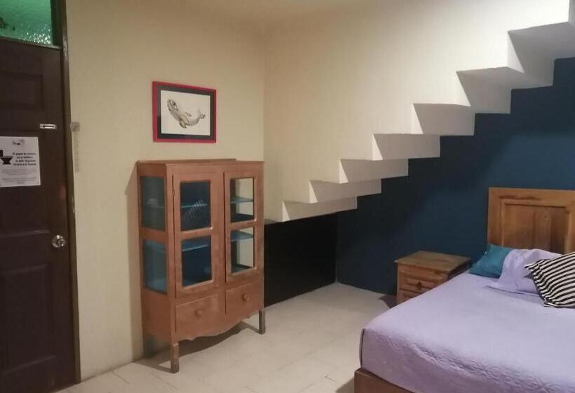اتاق استاندارد, Casa Tres Piedras