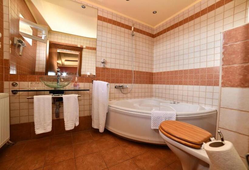 חדר דלוקס, Garni Hotel Garson Lux Ns