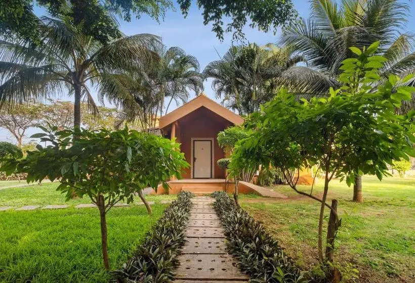 اتاق رویال, Vijayshree Resort And Heritage Village