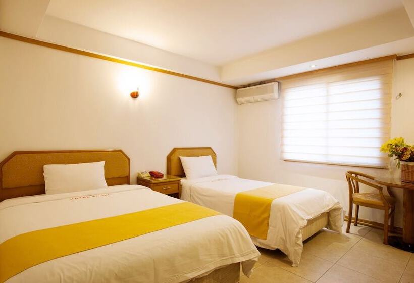 Camera Standard, Angel