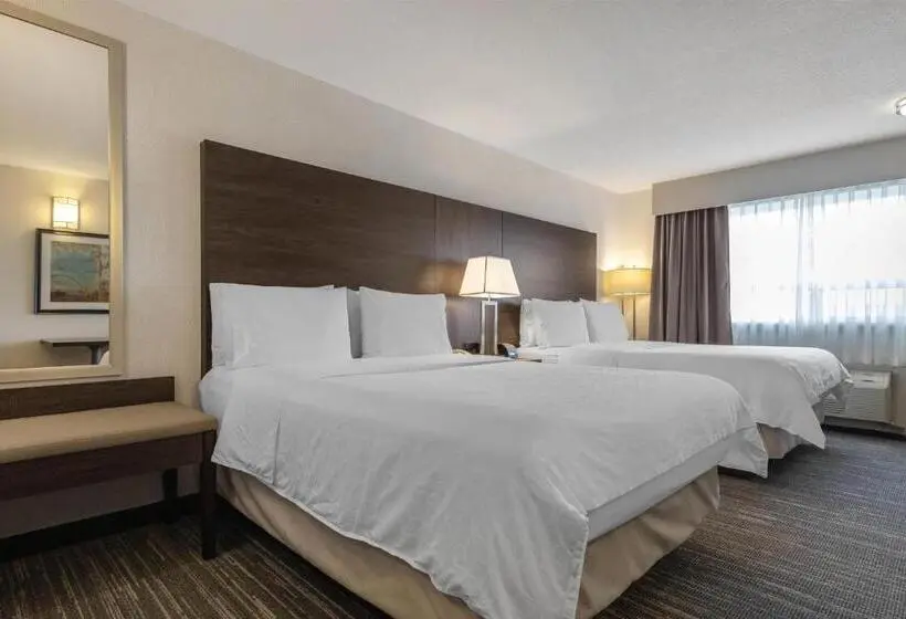 スタンダードルーム, Best Western Dawson Creek