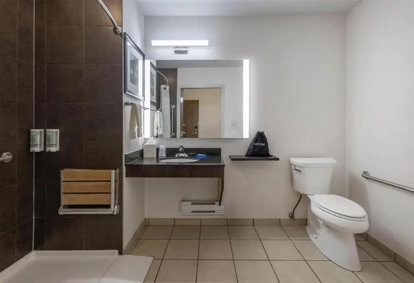 身障者適用キングサイズベッドルーム, Best Western Dawson Creek