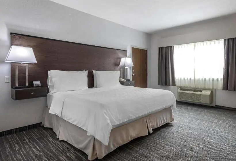 身障者適用キングサイズベッドルーム, Best Western Dawson Creek
