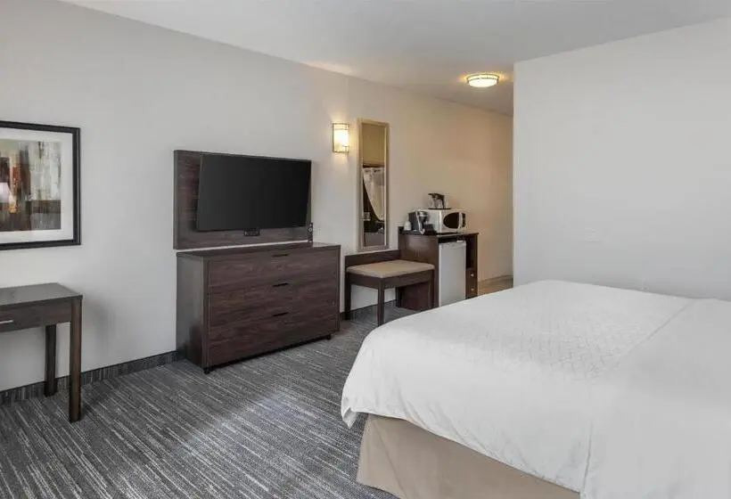 身障者適用キングサイズベッドルーム, Best Western Dawson Creek
