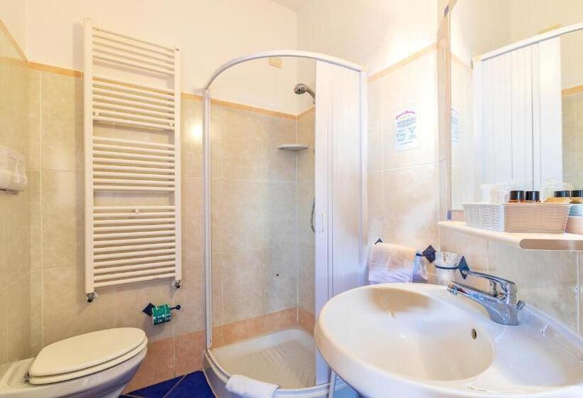 חדר סטנדרט, Bonsai