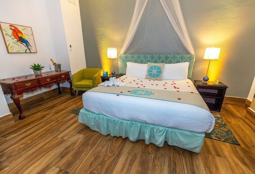 سوییت جونیور, Casablanca