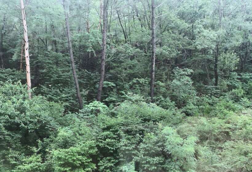 Номер Superior Одноместный, Geumosan