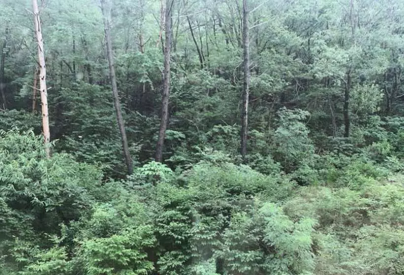 Superior Yhden Hengen Huone, Geumosan