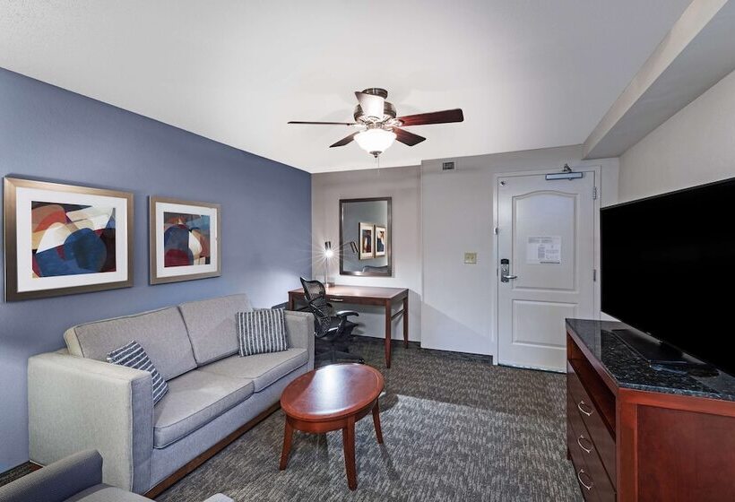 小型套房, Hilton Garden Inn Aiken