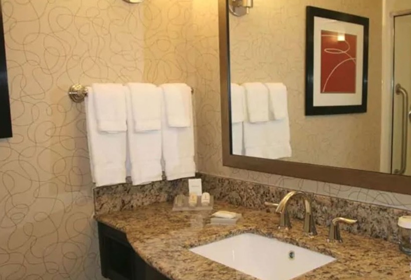 스탠다드 룸 킹사이즈 침대, Hilton Garden Inn Oxford/anniston