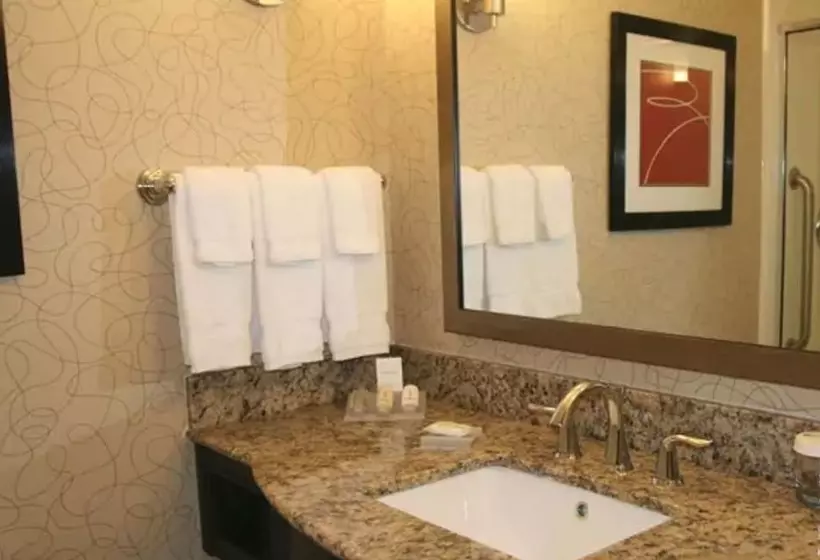 キングサイズベッドのスタンダードルーム, Hilton Garden Inn Oxford/anniston