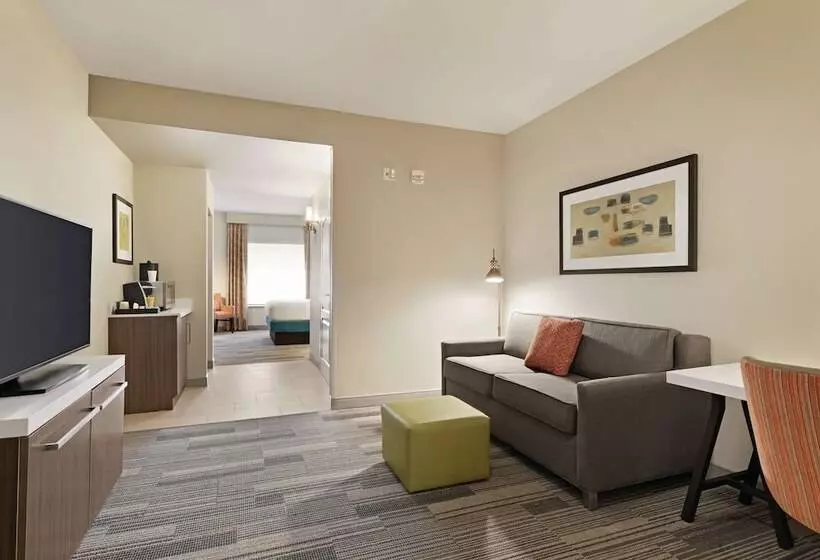 身障者適用スタンダードルーム, Hilton Garden Inn Oxford/anniston