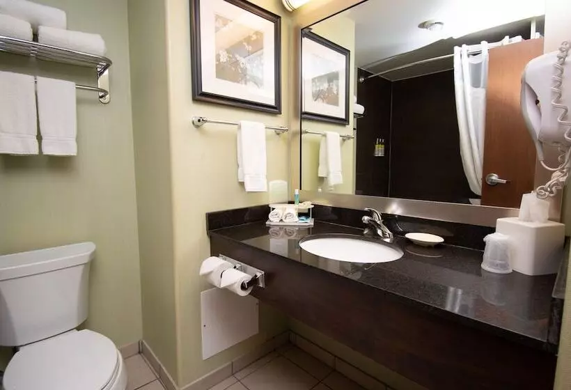 スタンダードルーム, Best Western Dawson Creek