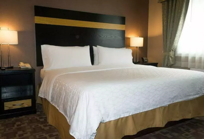 キングサイズベッドのスタンダードルーム, Best Western Dawson Creek
