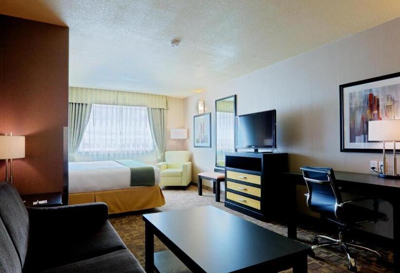 غرفة قياسية سرير كينج لذوى الإحتياجات الخاصة, Holiday Inn Express And Suites Dawson Creek, An Ihg