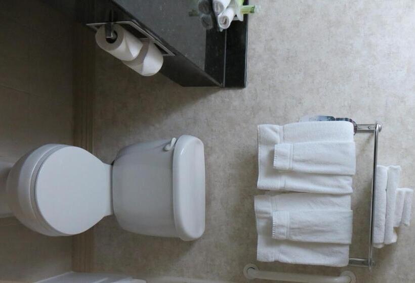 Номер Стандарт Кровать Кинг Адаптированный для Инвалидов, Holiday Inn Express And Suites Dawson Creek, An Ihg