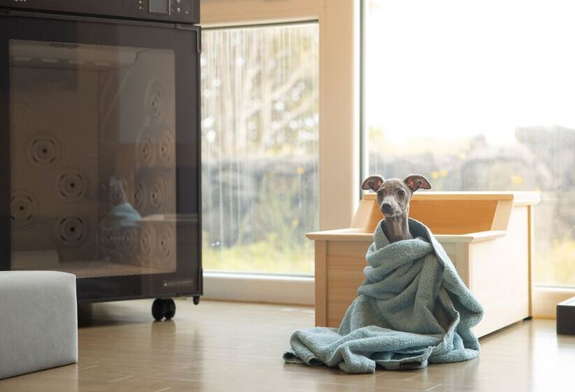 חדר מלכותי, Phoenix Island