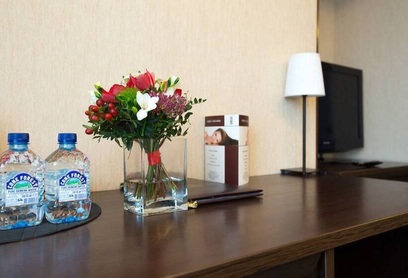 إستوديو قياسى, Sputnik