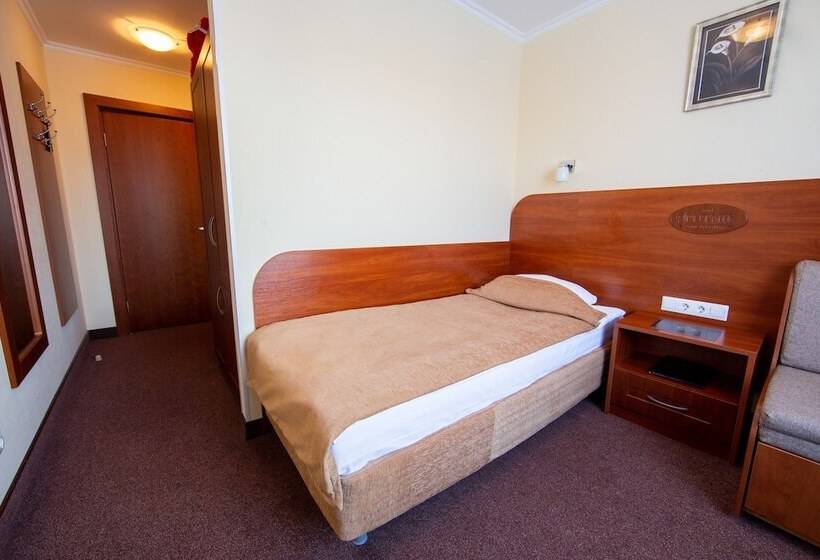 غرفة قياسية فردية, Sputnik