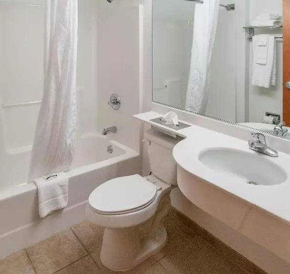 障害者適応デラックスルーム, Microtel Inn & Suites Beckley East