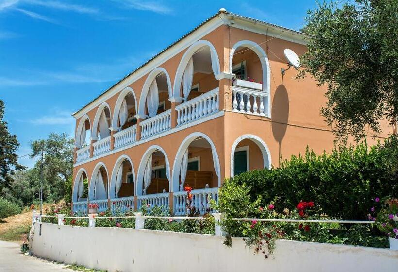 スタンダードスタジオ, Angeliki