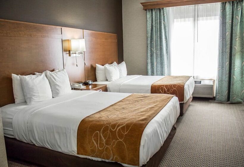 جناح, Comfort Suites Hotel And Conference Center