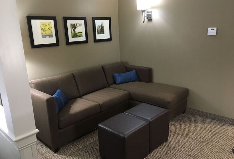 جناح, Comfort Suites Hotel And Conference Center