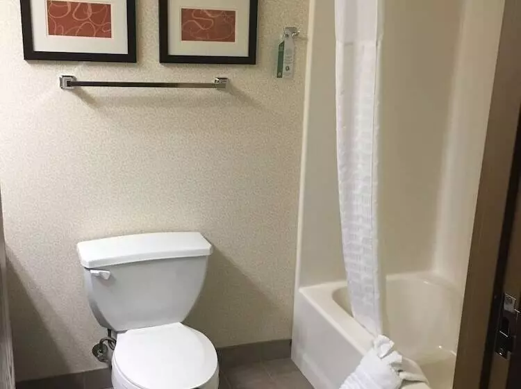 ジュニアスイート, Comfort Suites Hotel And Conference Center