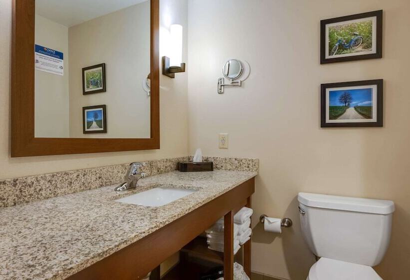 جناح جونيور, Comfort Suites Hotel And Conference Center