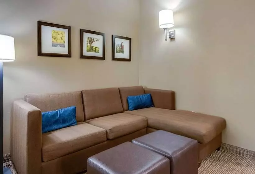 ジュニアスイート, Comfort Suites Hotel And Conference Center